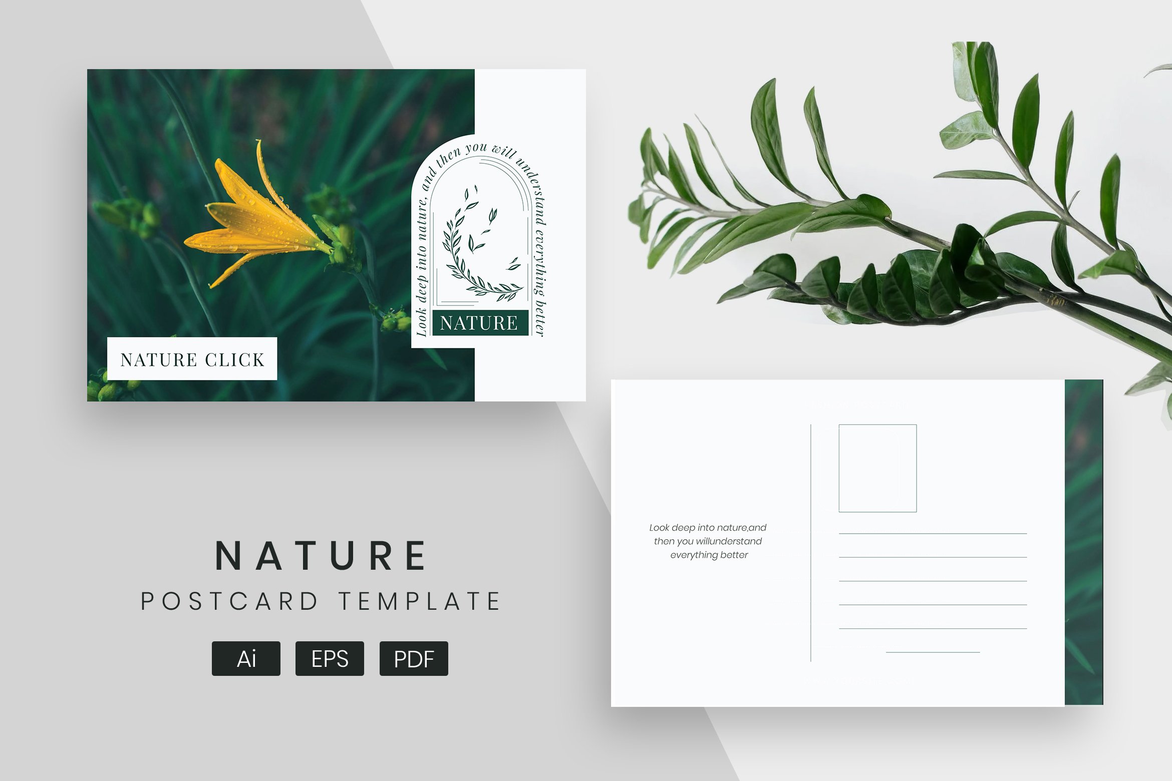 Nature Post Card Template