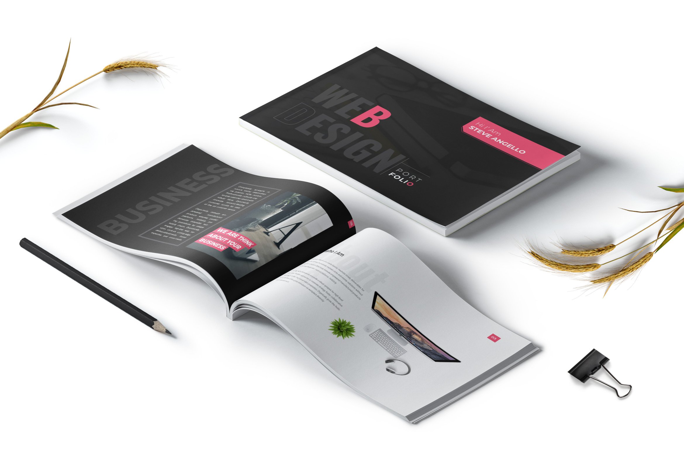 Web Designer Portfolio Brochure